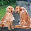 Raincoats for dogs;  raincoats;  large dog raincoat;  medium dogs;  large dogs;  puppies;  pet clothes - Big dog transparent raincoat (white edge) - 6