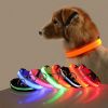 Glow-In-The-Dark Pet Collar For Dog & Cat; LED Dog Collar For Night Walking; USB charging - White - XS