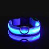 Glow-In-The-Dark Pet Collar For Dog & Cat; LED Dog Collar For Night Walking; USB charging - Blue - M