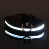 Glow-In-The-Dark Pet Collar For Dog & Cat; LED Dog Collar For Night Walking; USB charging - Green - XS