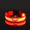 Glow-In-The-Dark Pet Collar For Dog & Cat; LED Dog Collar For Night Walking; USB charging - Red - L