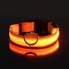 Glow-In-The-Dark Pet Collar For Dog & Cat; LED Dog Collar For Night Walking; USB charging - Red - XL