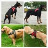 Dog Chest Strap Traction Rope Explosion proof Flushing Dog Chest Strap - Star Spangled Banner - M