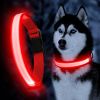 Solar And USB Rechargeable Light Up Pet Collar Waterproof LED Dog & Cat Collars For Night Walking - Blue - S