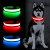 Solar And USB Rechargeable Light Up Pet Collar Waterproof LED Dog & Cat Collars For Night Walking - Fluorescent Green - S