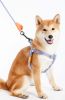 Touchdog 'Macaron' 2-in-1 Durable Nylon Dog Harness and Leash - Purple - Small