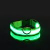 Glow-In-The-Dark Pet Collar For Dog & Cat; LED Dog Collar For Night Walking; USB charging - Green - XS