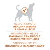 Purina ONE Plus Healthy Weight Dog Food Dry Formula - Purina ONE