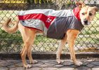 Helios Lotus-Rusher Waterproof 2-in-1 Convertible Dog Jacket w/ Blackshark technology - Small