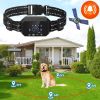 Wireless GPS Dog Fence Rechargeable Waterproof Electric Dog Collar 98-3280FT Adjustable Radius Pet Containment System Outdoor for Large Medium Dogs -