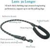 Dual Dog Leash; Double Dog Leash; 360 Swivel No Tangle Walking Leash; Shock Absorbing Bungee for Two Dogs - Royal Blue - length:90cm