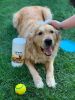 Pet and dog Grooming Cleaning Wipes - 80 Wipes Jar