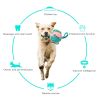 Dog Soccer Ball Interactive Pet Toys Foldable Ball Molar Toy Outdoor Training Ball for Puppy Dog Chew Dog Accessories - White